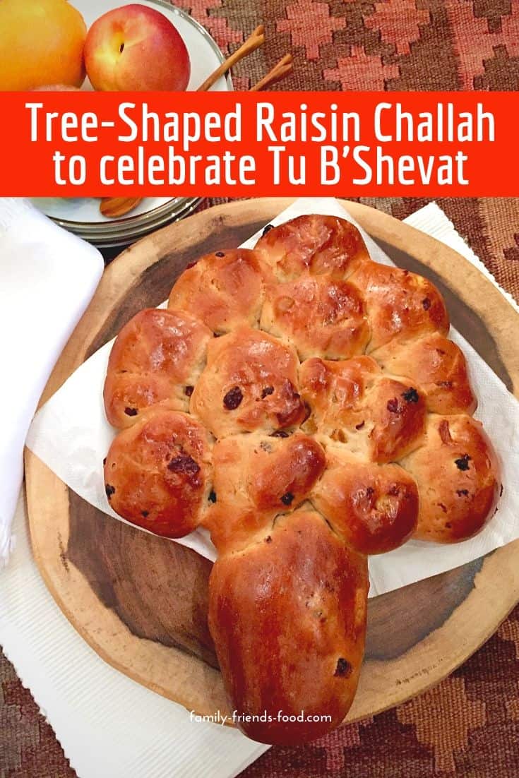 Fluffy, soft, delicious raisin challah, studded with extra dried fruits - apricot, apple, cherry and more! Make tree shaped for Tu B'Shevat or enjoy a simple loaf anytime.