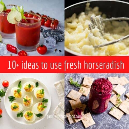 Ideas for using up fresh horseradish root.